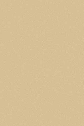 Shaggy Comfort 2 Коллекция Shaggy Comfort: Ковры Shaggy  с длинный ворсом становятся все более и более популярными в России. Предлагаем выбрать подходящий для Вас размер. Цена указана за 1 кв. м.