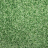 1 (5)6b.jpg